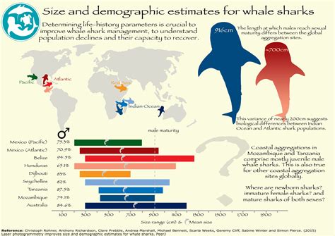 whale shark population graph